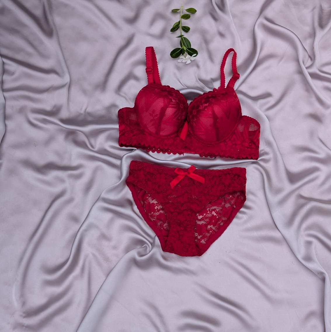 Pushup Wired Bridal/Daily Wear Net Bra Set — view 5